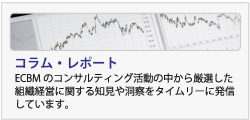 ECBMのコンサルティング